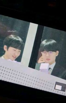 Pernut - hai cún iu