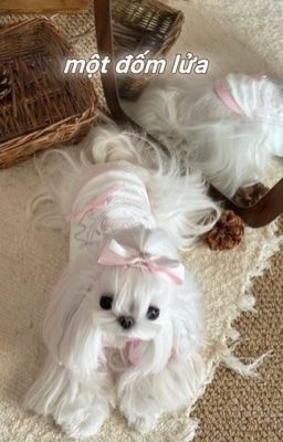 peyria • một đốm lửa