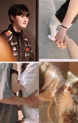 peyzreader ' tình cũ