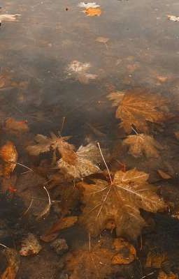 PHAIDEI | Again and again