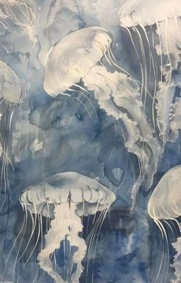 phainaxa | người nhà 