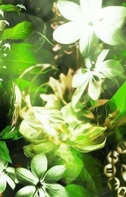 ⤷ ゛Phạm phải luật trời. ˎˊ˗ ;; AdminVirus/ Telamon1x