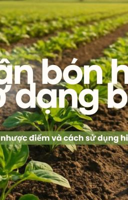 Phân bón hữu cơ dạng bột