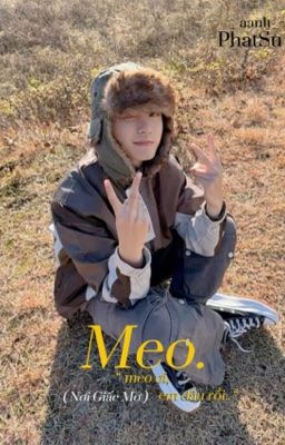 PhatSu ; Thằng Điên ( Meo. )