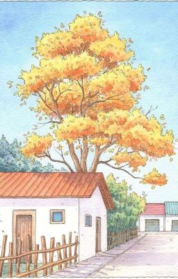 Phong Đỏ | Vkook