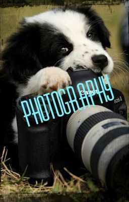Photography 
