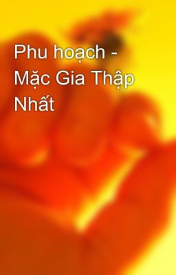 Phu hoạch - Mặc Gia Thập Nhất