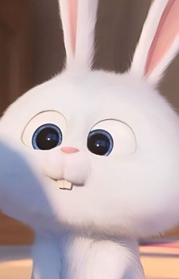 Phù Trầm Sự