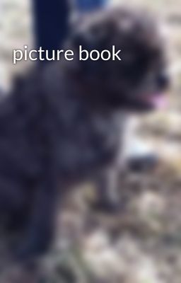 picture book