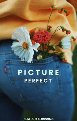 Picture Perfect