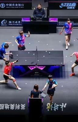 [Pingpang] Con lừa của đội bóng bàn quốc gia