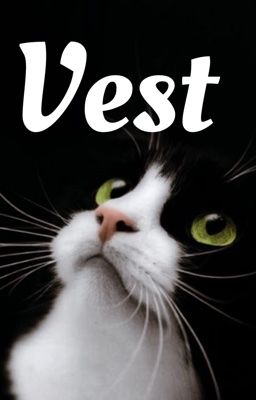 [Pmldy|Shineko] vest