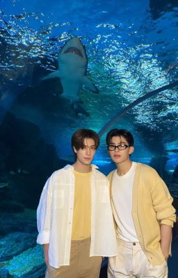 [PondPhuwin] textfic - crush