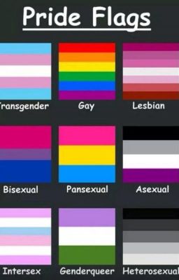 PRIDE FLAGS