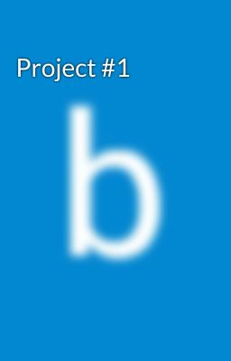 PROJECT #1