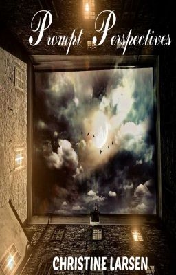 Prompt Perspectives