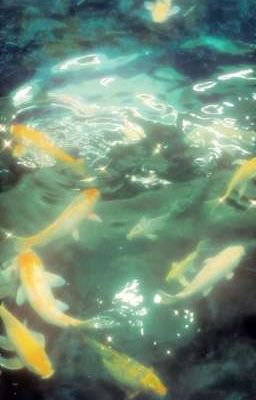 QT Dài lâu mơ ước