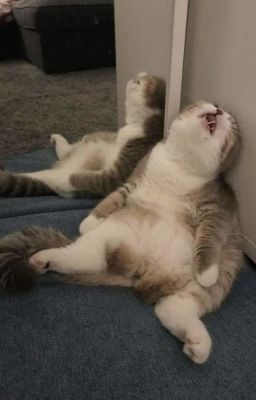 [QT] Ta chỉ là cái phông nền a [ xuyên nhanh ]