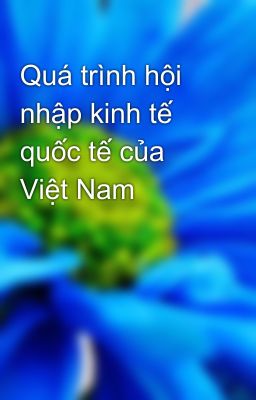 Quá trình hội nhập kinh tế quốc tế của Việt Nam