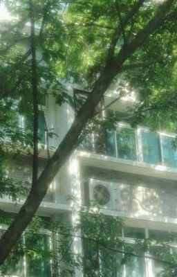 [quanquan] không chung một con đường 