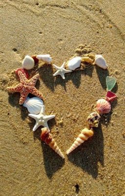 /QUINNLY/ - BEACH KISSES