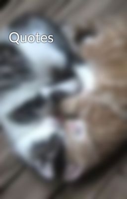 Quotes