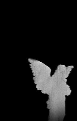 『 r18 sanegiyuu 』dại khờ