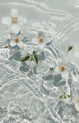 [R18] [UmMo] [One-shot] False Alert