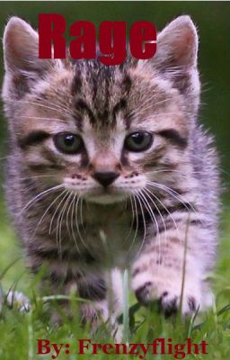 RAGE || Warrior Cats