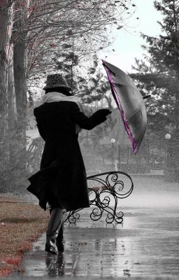 Rainy Darling Day's