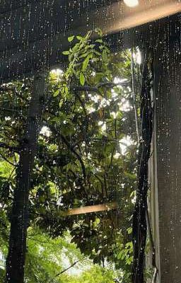     Rainy day