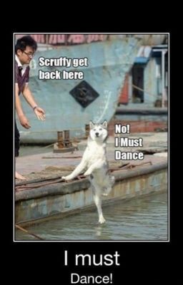 Random and funny things