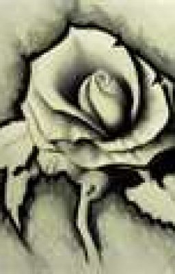 random poems