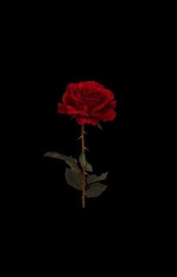 |RanSanRin| Tình Dục