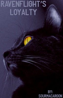 Ravenflight's loyalty