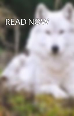 READ NOW