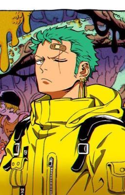 [Reader x Zoro] CAT-oneshot