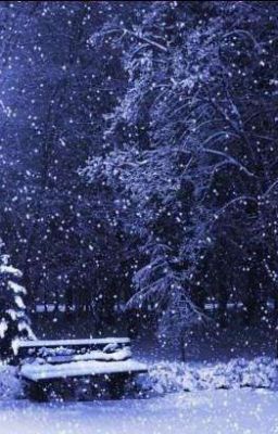 Rencontre à Noël