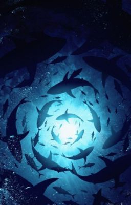 【RhyCap/Oneshort】٭Những mẫu truyện ngắn٭