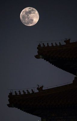 rhycap | Trọn một đời, chẳng chọn lại.