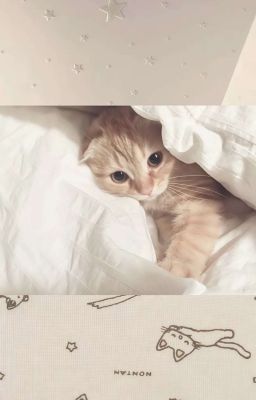 [Rhycap] -True love-
