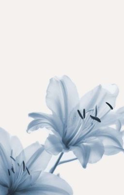 |RinSan| Yêu