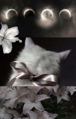 [ Ruhendsnut ] Mắt hoa