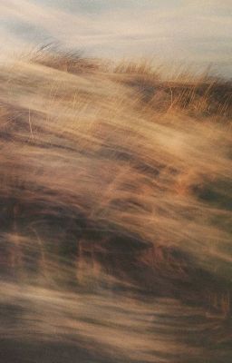ryoh || l'etranger