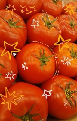 [ryuljin] chiều hạ