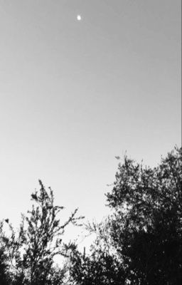 ryulwoo | hình xăm