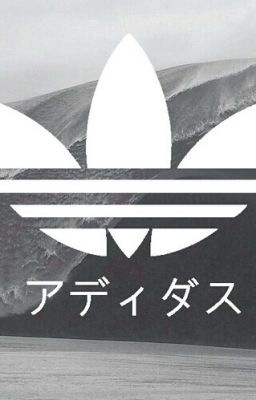∞ s t a t u s ∞