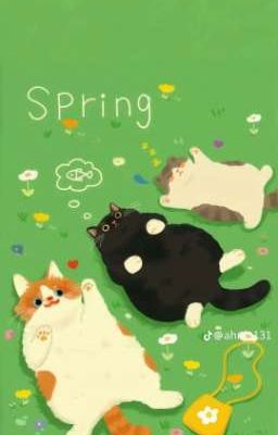 Sa Vào Vào Sự Rung Động Tuyệt Đối 