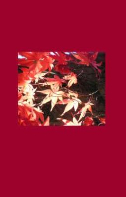 saeisa - để quên.