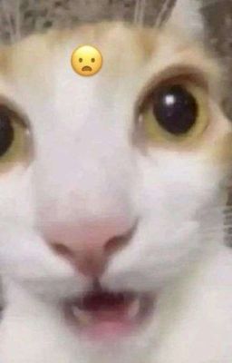 | Saeisa | khó hiểu